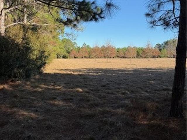 Land for sale in Springfield, Georgia