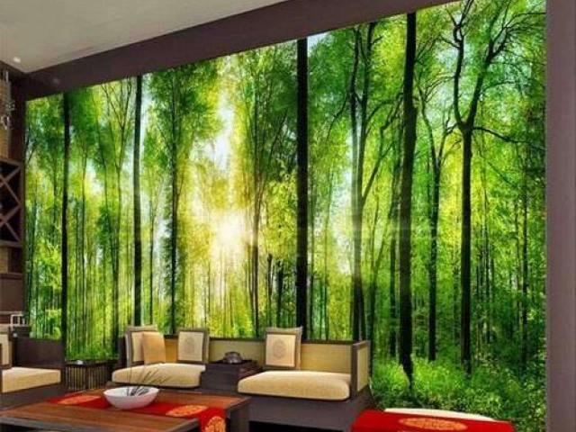House for rent in Federally Administered Tribal Areas fata