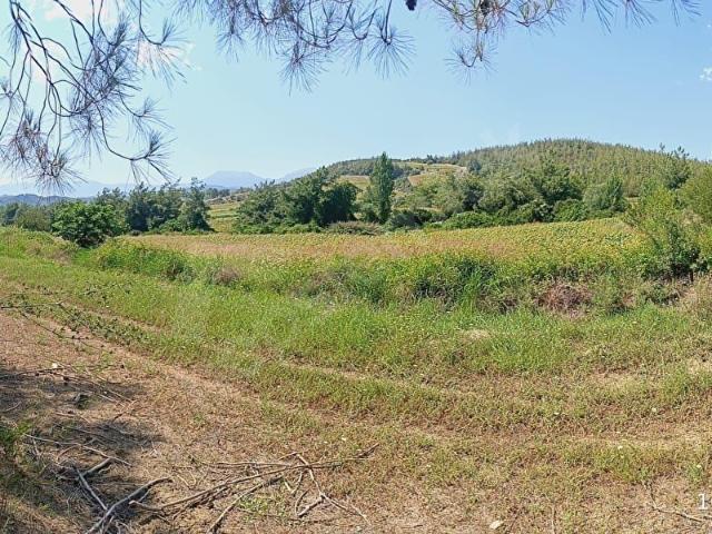 mahalle, Karaisalı içerisinde satılık Arsa