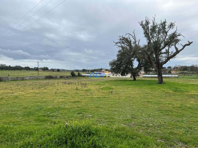 Terreno venda em Alcains, Castelo Branco