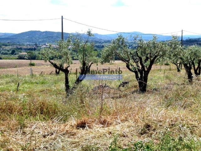 Casa venda em Castelo Branco, Colmeal Da Torre