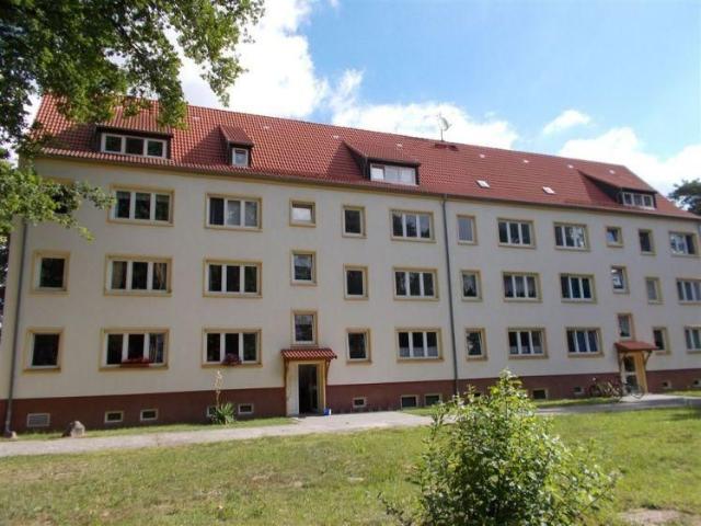 Apartment mieten in Elsnig, Sachsen