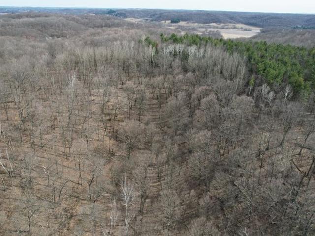 Land for sale in Dunn, Wisconsin