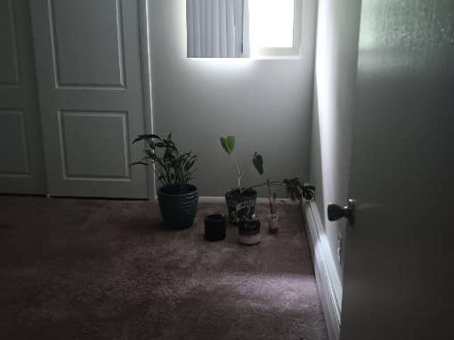 Room for rent in Warwick, Rhode Island