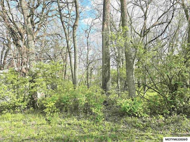 Land for sale in Rockford, Iowa
