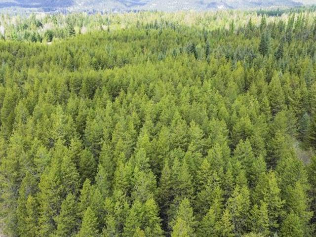 Land for sale in Ione, Washington