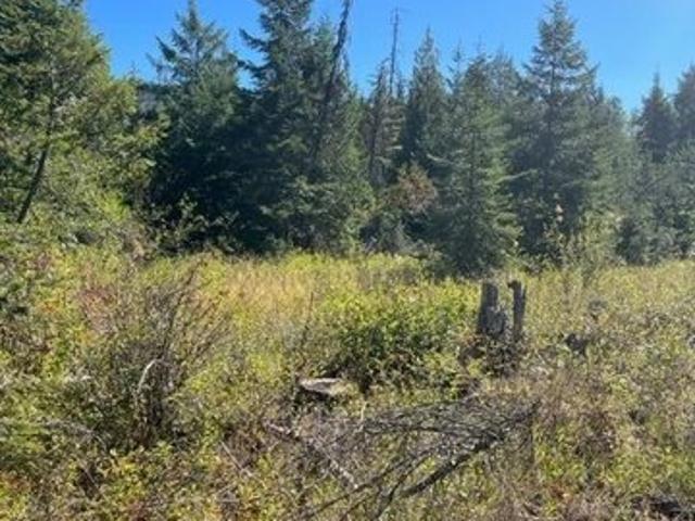 Land for sale in Ione, Washington