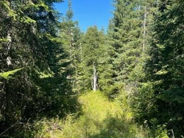 Land for sale in Ione, Washington