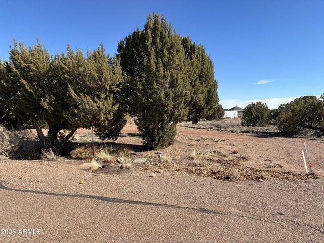Land for sale in Navajo, Arizona