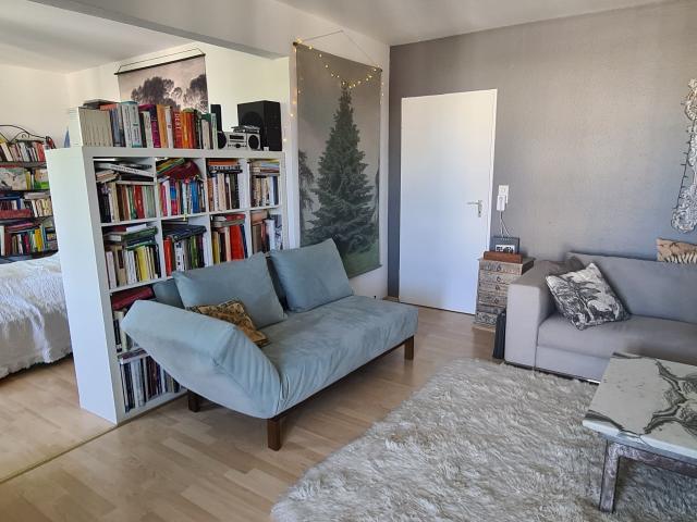 Apartment mieten in Sachsenhausen, Hessen