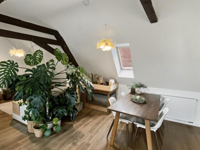 Apartment mieten in Uffhofen, Flonheim