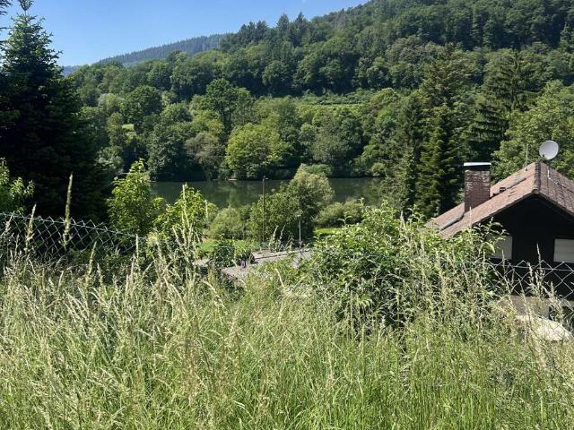 Erdgeschosswohnung kaufen in Neckargemünd, Rhein-Neckar-Kreis