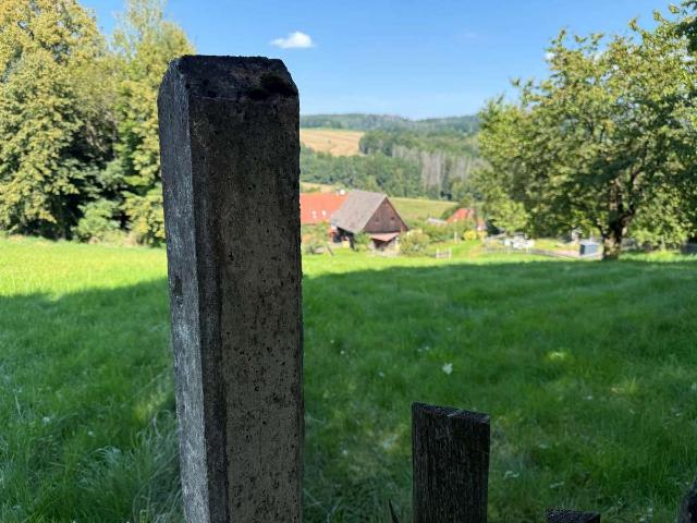 Erdgeschosswohnung kaufen in Sebnitz, Sächsische Schweiz-Osterzgebirge