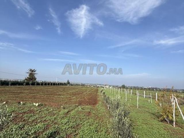 Propriété vente à El Ma, Gharb-Chrarda-Beni Hssen