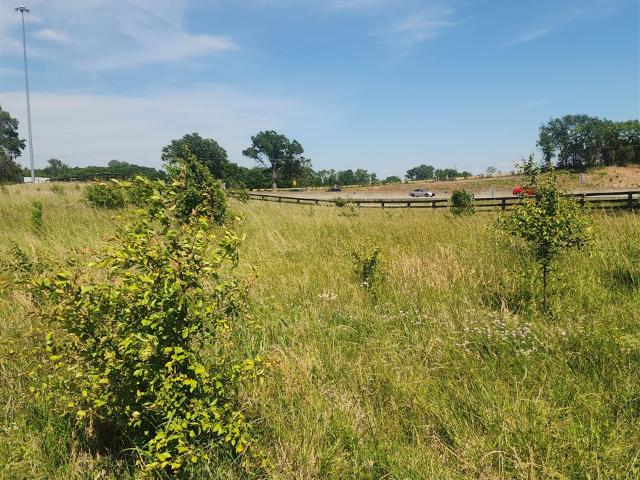 Land for sale in Simpson, Kentucky