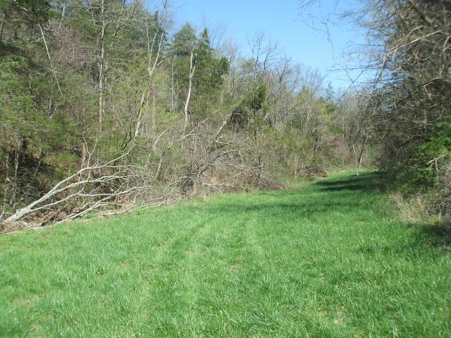 Land for sale in Kentucky