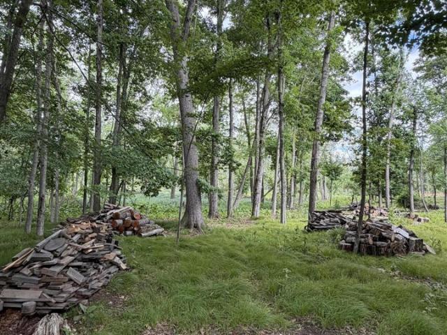 Land for sale in Michigan