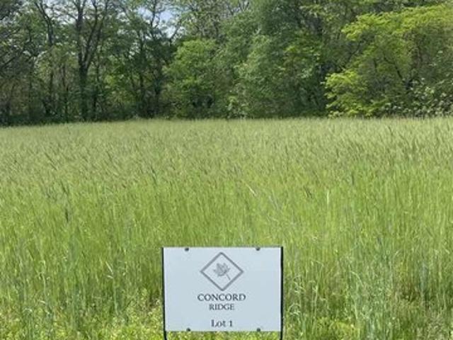 Land for sale in Wapello, Iowa