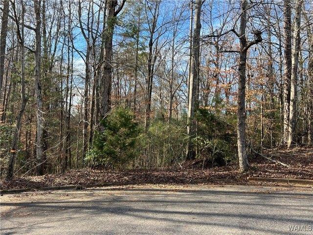 Land for sale in Alberta, Alabama