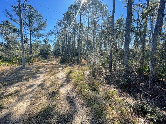 Land for sale in Perry, Florida