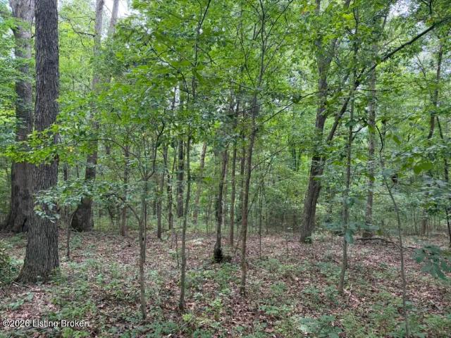 Land for sale in Hardinsburg, Kentucky