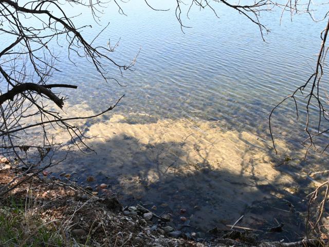 Land for sale in Todd, Minnesota