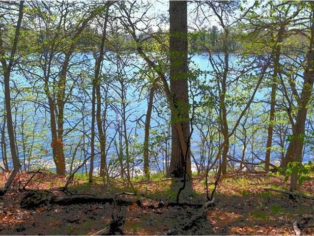 Land for sale in Todd, Minnesota