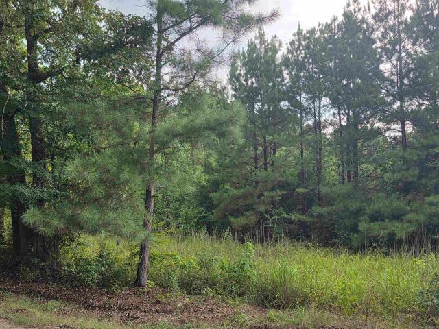 Land for sale in Pinebergen, Pine Bluff