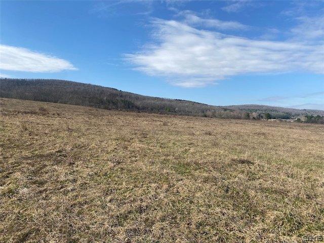 Land for sale in Angelica, New York
