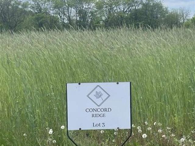 Land for sale in Wapello, Iowa
