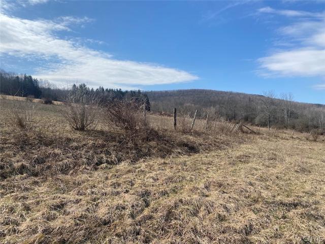 Farm for sale in Angelica, New York