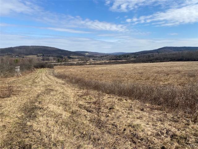 Land for sale in Angelica, New York