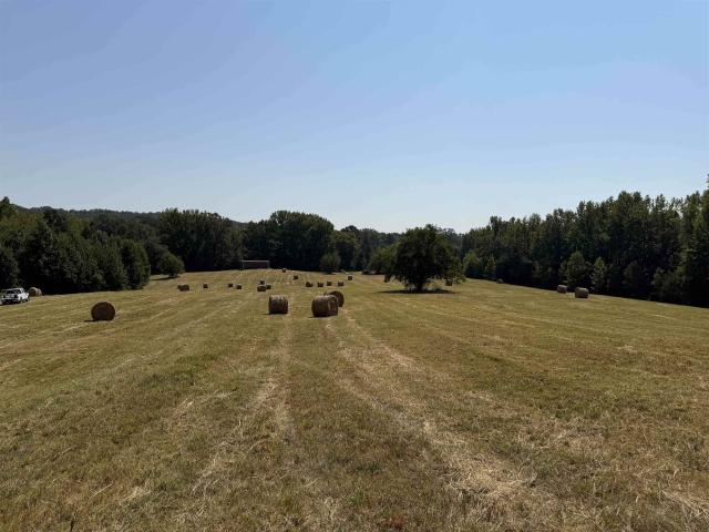 Land for sale in Hinkle, Sardis