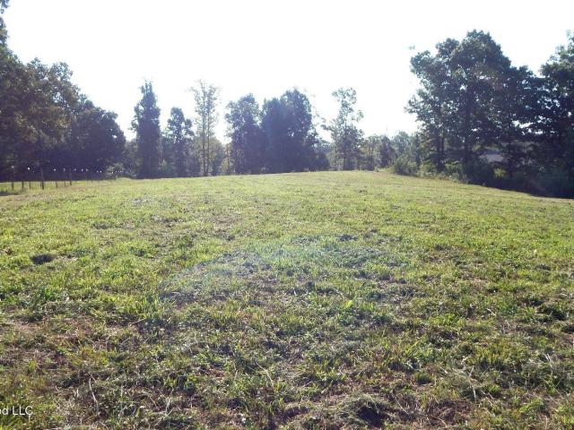 Land for sale in Tate, Mississippi