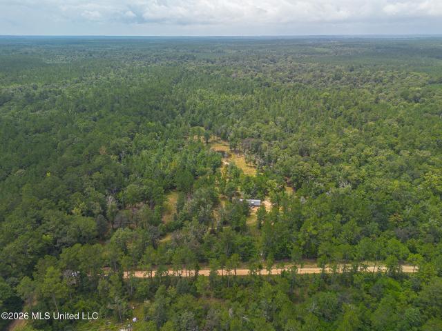 Land for sale in Wiggins, Mississippi
