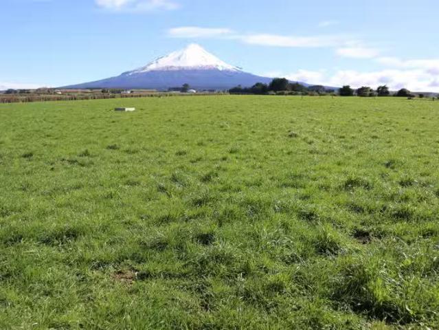 House for rent in Taranaki