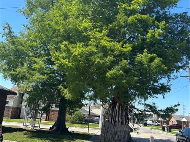House for sale in Chalmette, Louisiana