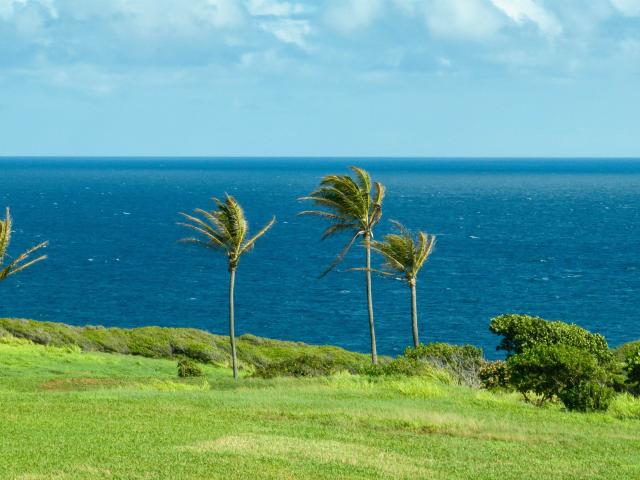Land for sale in Haiku, Hawaii