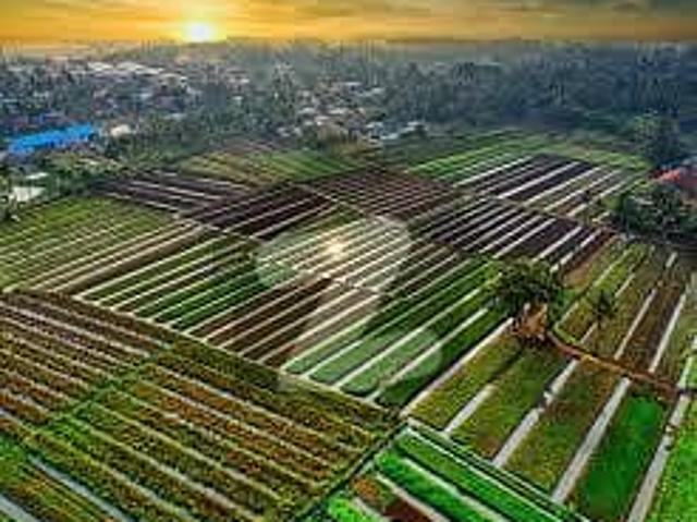 Land for sale in Rawalpindi, Islamabad Capital Territory