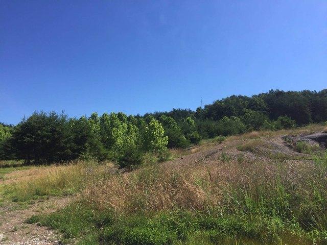 Land for sale in Elliott, Kentucky