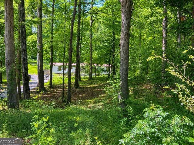 House for sale in Colbert, Georgia