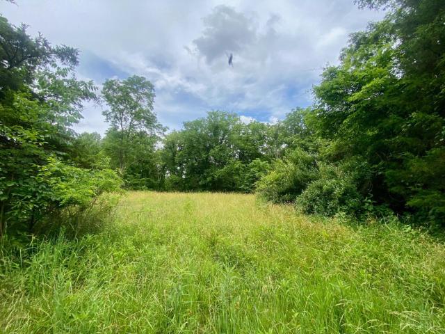 Land for sale in Seaman, Adams County