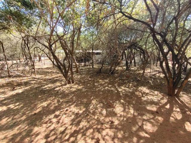 Land for sale in Limpopo