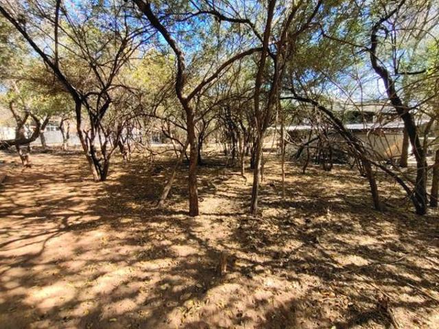 Land for sale in Limpopo