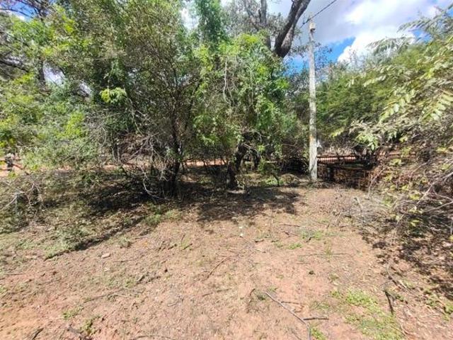Land for sale in Limpopo