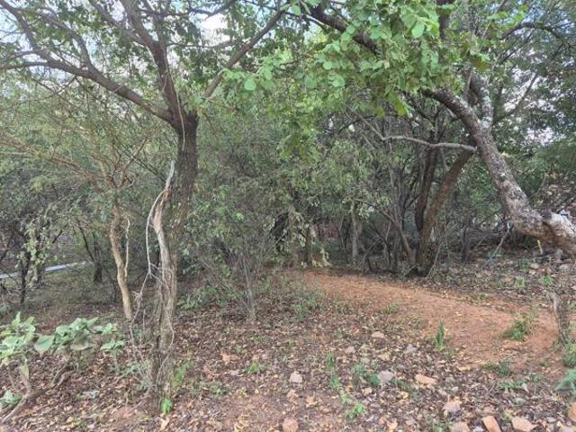 Land for sale in Limpopo