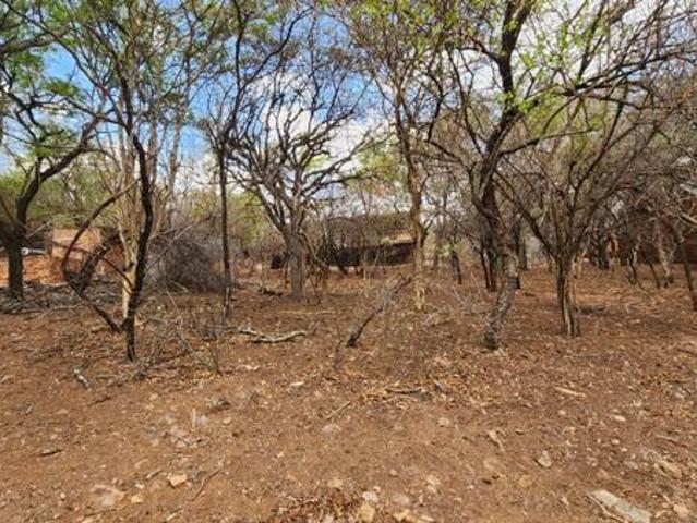 Land for sale in Limpopo