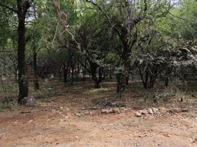 Land for sale in Limpopo