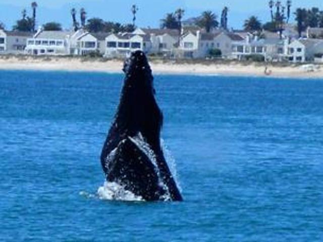 Land for sale in Western Cape