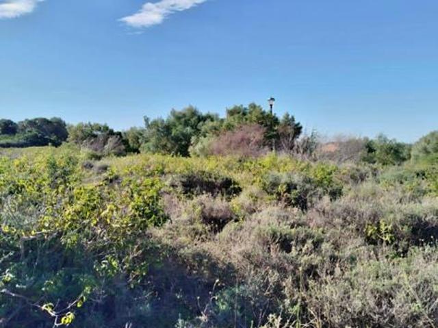 Land for sale in Bushmans River Mouth, Eastern Cape